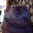 mr.rat