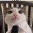 MrTwixy